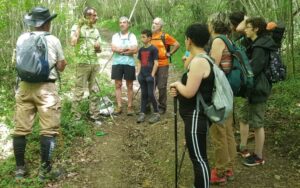 Balade/cueillette et goûter de plantes sauvages comestibles @ Fôret de Betatia
